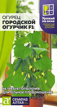 Огурец Городской Огурчик F1/Сем Алт/цп 5 шт.р УРОЖАЙ НА ОКНЕ!