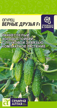 Огурец Верные друзья F1/Сем Алт/цп 5 шт.р