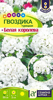 Цветы Гвоздика турецкая Белая Королева/Сем Алт/цп 0,2 гр. двулетник