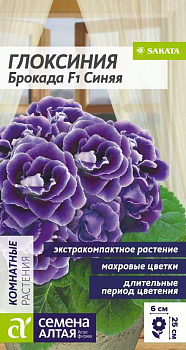 Цветы Глоксиния Брокада F1 Синяя/Сем Алт/цп 5 шт.