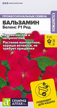 Цветы Бальзамин Беленс F1 Ред/Сем Алт/цп 4 шт.