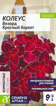 Цветы Колеус Визард Красный бархат/Сем Алт/цп 5 шт.