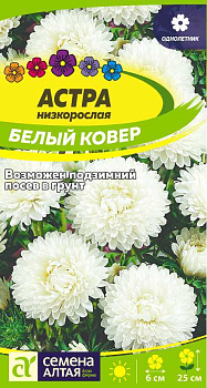Цветы Астра Белый Ковер низкорослая/Сем Алт/цп 0,2 гр.