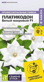 Цветы Платикодон Белый Махровый/Сем Алт/цп 5 шт. многолетник