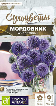 Цветы Мордовник Фиолетовый обыкновенный/Сем Алт/цп 0,2 гр. многолетник
