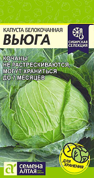 Капуста Вьюга/Сем Алт/цп 0,5 гр.р Сибирская Селекция!