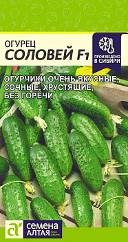 Огурец Соловей F1/Сем Алт/цп 0,3 гр.р