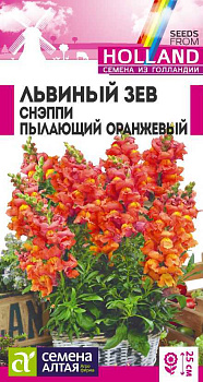 Цветы Львиный зев Снэппи Пылающий оранжевый/Сем Алт/цп 10 шт ГОЛЛАНДИЯ