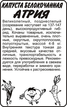Капуста Атрия F1/Сем Алт/бп 12 шт. Seminis (Голландские Семена)