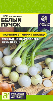 Лук на зелень Белый Пучок/Сем Алт/цп 0,3 гр.