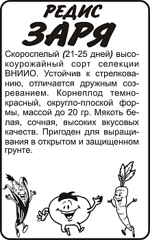Редис Заря/Сем Алт/бп 2 гр.