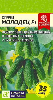 Огурец Молодец F1/Сем Алт/цп 6 шт. 