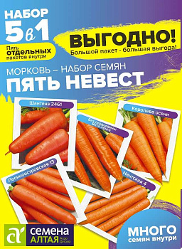 Морковь Пять Невест Смесь/Сем Алт/цп 5 гр. БОЛЬШОЙ ПАКЕТ!
