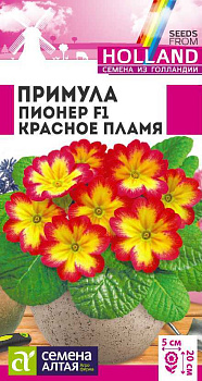 Цветы Примула Пионер Красное пламя/Сем Алт/цп 5 шт двулетник ГОЛЛАНДИЯ