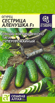 Огурец Сестрица Аленушка F1/Сем Алт/цп 0,3 гр.р