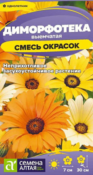 Цветы Диморфотека смесь окрасок/Сем Алт/цп 0,1 гр.