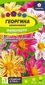 Цветы Георгина Фейерверк/Сем Алт/цп 0,2 гр.