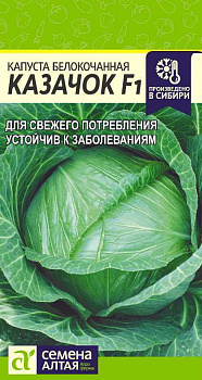 Капуста Казачок F1/Сем Алт/цп 0,3 гр.