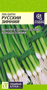 Лук Батун Русский Зимний/Сем Алт/цп 0,5 гр.