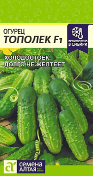 Огурец Тополек F1/Сем Алт/цп 0,3 гр.р
