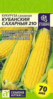 Кукуруза Кубанский Сахарный 210/Сем Алт/цп 5 гр.р