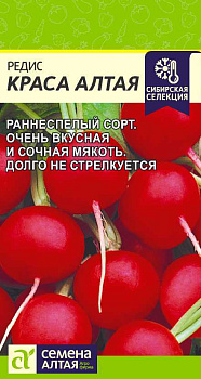 Редис Краса Алтая/Сем Алт/цп 2 гр.р Сибирская Селекция!