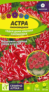 Цветы Астра Седая Дама Красная карликовая/Сем Алт/цп 0,05 гр.
