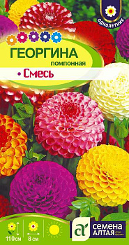 Цветы Георгина Помпонная смесь/Сем Алт/цп 0,2 гр.