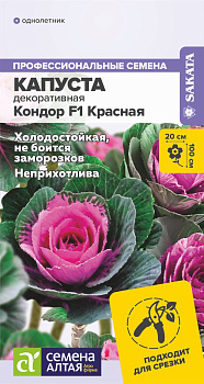 Цветы Капуста Кондор F1 Красная декоративная/Сем Алт/цп 5 шт. НОВИНКА