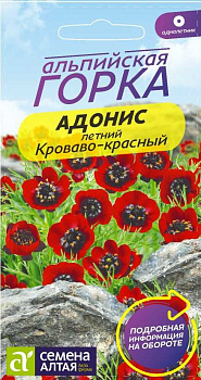 Цветы Адонис летний Кроваво-красный/Сем Алт/цп 0,2 гр. Альпийская горка