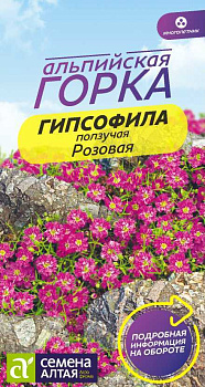 Цветы Гипсофила ползучая Розовая/Сем Алт/цп 0,3 гр. многолетник Альпийская горка