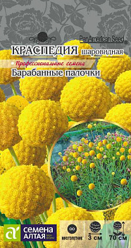Цветы Краспедия Барабанные палочки шаровидная/Сем Алт/цп 10 шт.  