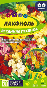 Цветы Лакфиоль Весенняя песенка/Сем Алт/цп 0,1 гр. двулетник