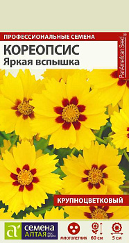 Цветы Кореопсис Яркая вспышка крупноцв./Сем Алт/цп 10 шт. многолетник 