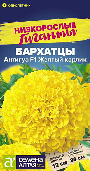Цветы Бархатцы Антигуа F1 Желтый карлик/Сем Алт/цп 5 шт. Низкорослые гиганты