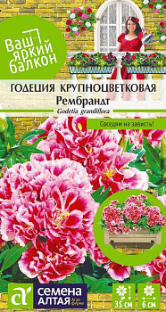 Цветы Годеция Рембрандт/Сем Алт/цп 0,2 гр. Ваш яркий балкон
