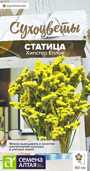 Цветы Статица Хипстер Еллоу/Сем Алт/цп 5 шт. Сухоцветы НОВИНКА