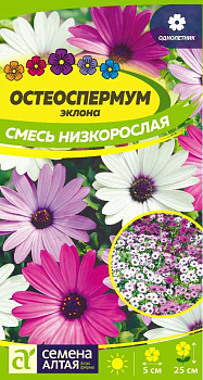 Цветы Остеоспермум Смесь эклона низкорослая/Сем Алт/цп 0,1 гр.