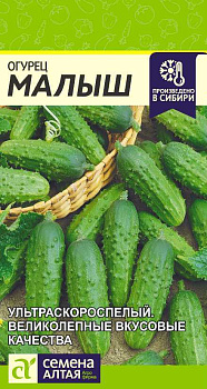 Огурец Малыш/Сем Алт/цп 0,3 гр.р