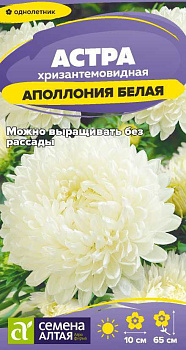 Цветы Астра Аполлония Белая/Сем Алт/цп 0,2 гр.