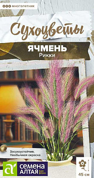 Ячмень гривастый Рикки злак декоративный/Сем Алт/цп 5 шт. Сухоцветы НОВИНКА