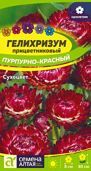 Цветы Гелихризум Пурпурно-красный/Сем Алт/цп 0,2 гр. 
