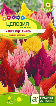 Цветы Целозия перистая Лилипут смесь/Сем Алт/цп 0,1 гр.