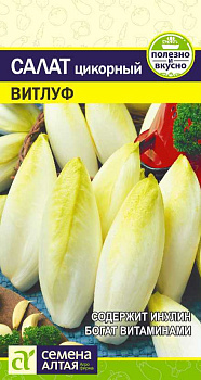 Зелень Салат Цикорий Витлуф/Сем Алт/цп 0,5 гр.