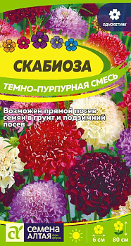 Цветы Скабиоза Темно-Пурпурная смесь/Сем Алт/цп 0,2 гр.