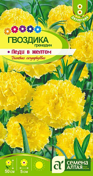 Цветы Гвоздика гренадин Леди в желтом/Сем Алт/цп 0,1 гр. двулетник