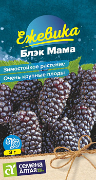 Ягода Ежевика Блэк Мама крупноплодная/Сем Алт/цп 0,03 гр. НОВИНКА