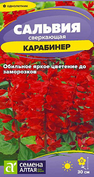 Цветы Сальвия Карабинер сверкающая/Сем Алт/цп 0,1 гр.