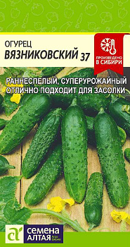Огурец Вязниковский 37/Сем Алт/цп 0,5 гр.р