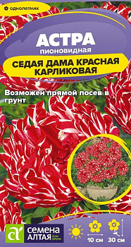 Цветы Астра Седая Дама Красная карликовая/Сем Алт/цп 0,05 гр.